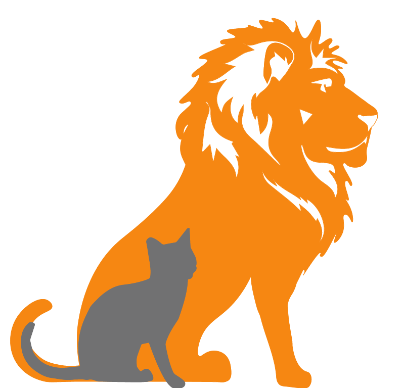 Lion-Cat Growth Hacking Session